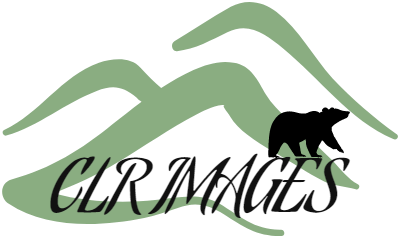 RileyTN logo